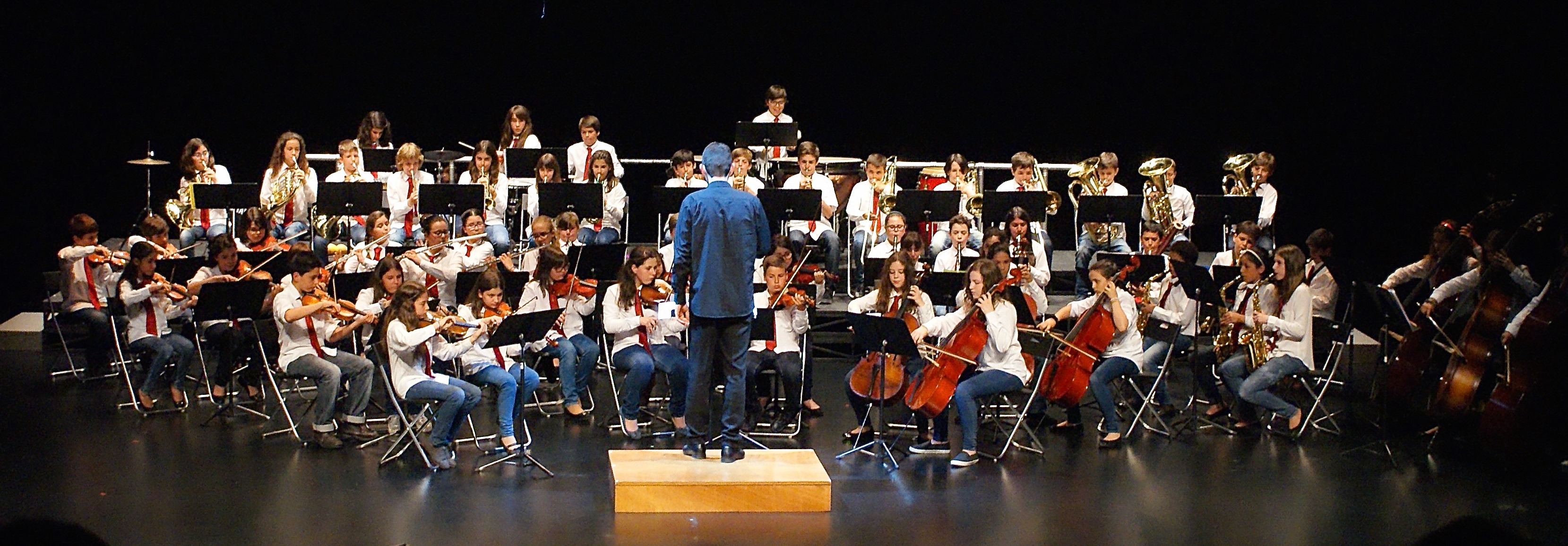 Ensino Articulado da Música